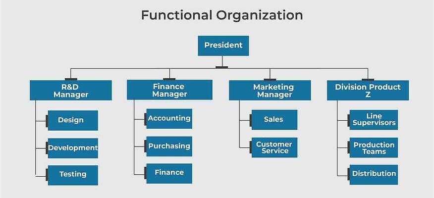 functional_organization.jpg