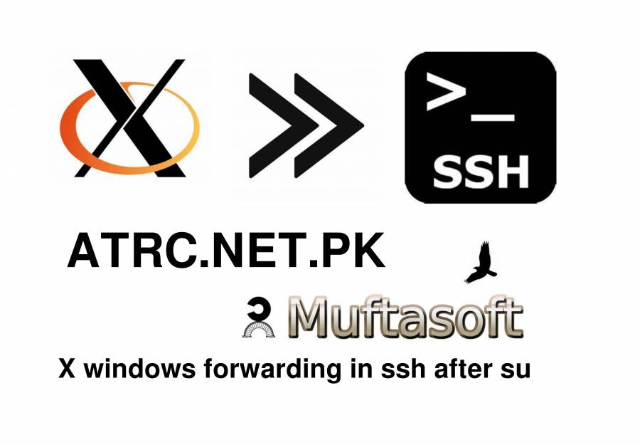 x_windows_forwarding_program_image_-_4_april_2023-1.jpeg