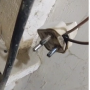 wires_plug.png