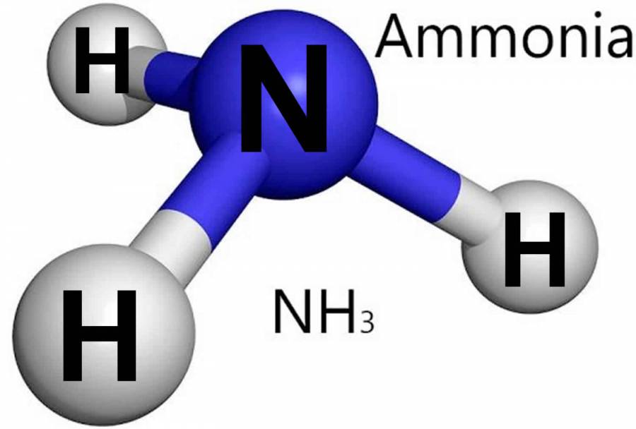 ammonia.jpeg ammonia.jpeg