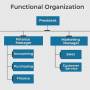 functional_organization.jpg